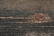 (untitled)