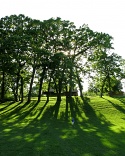 (untitled)