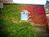 fall in East Pilsen