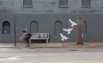 fly away free