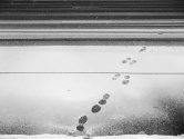 (untitled)