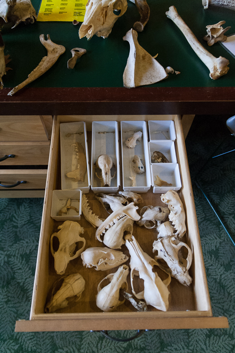 sometimes, there's a drawer full of skulls