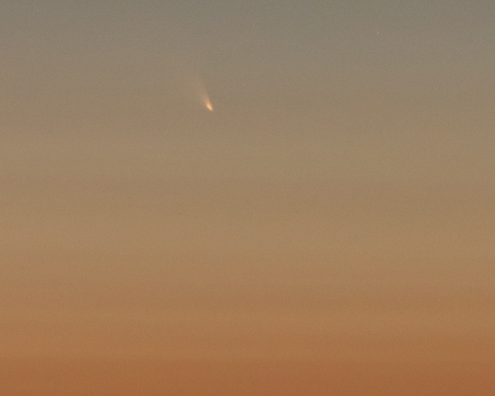 I went out to photograph Comet Pan-STARRS with the whole family and didn't think I saw it.  Turns out it was there the whole time.  This is a 100% crop from a wide angle shot which I will upload tomorrow. 