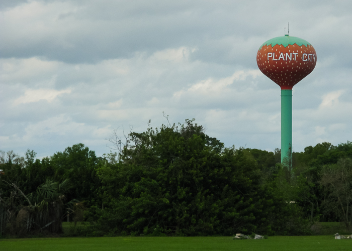 Plant City Florida has a watertower painted like a strawberry